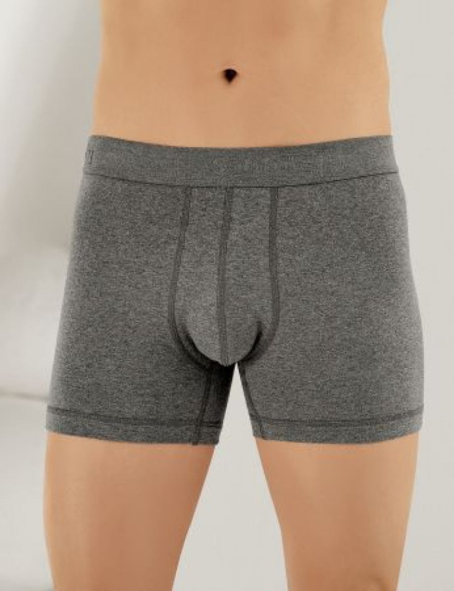 Şahinler Likralı Torbalı Boxer ME031 K.Gri resmi