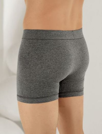 Şahinler Likralı Torbalı Boxer ME031 K.Gri resmi