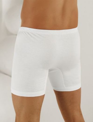 Şahinler Penye Erkek Arjantin Boxer ME007 Beyaz resmi