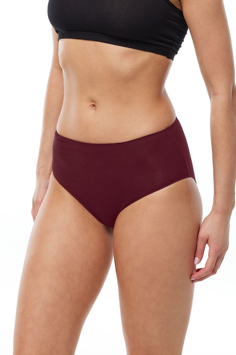 Malabadi 2'li Paket Modal Yüksek Bel Slip Külot 1955  Bordo resmi