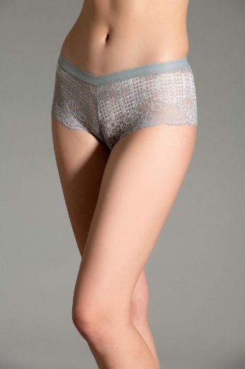 New Bra Brazilian Külot 9025 Gri resmi