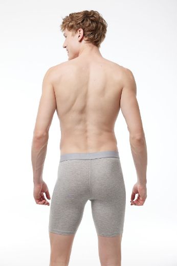 Malabadi Uzun Paçalı Modal Boxer 019 Gri resmi